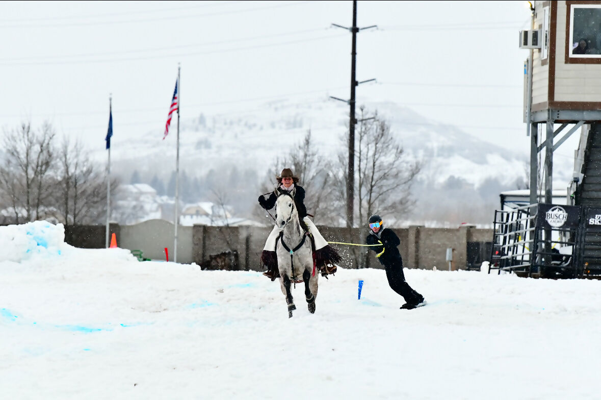 K/N equine dental shred units