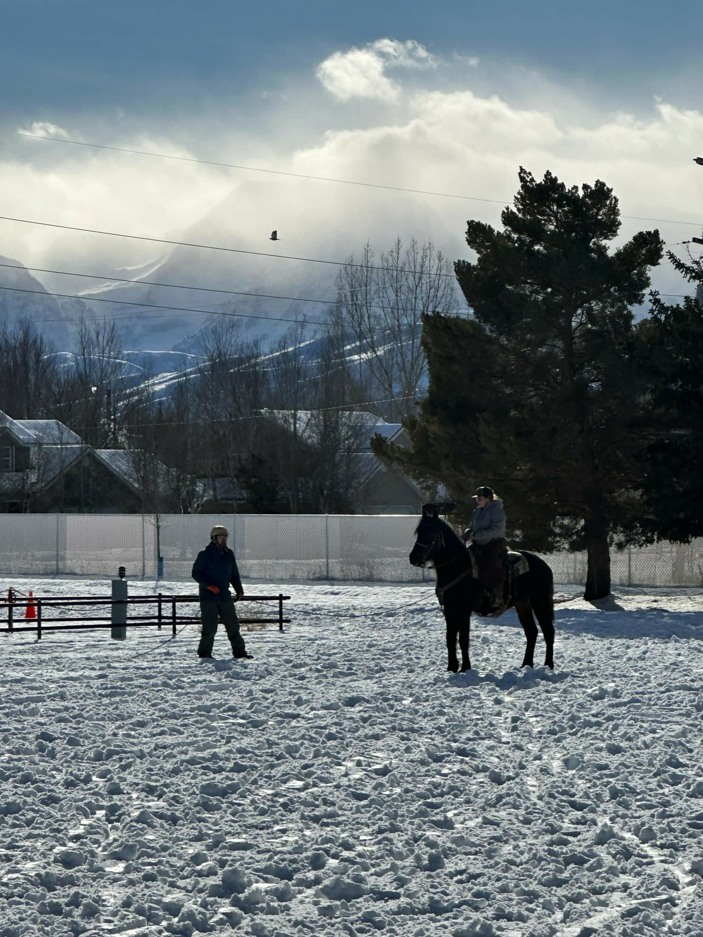 Something Amazing I Guess