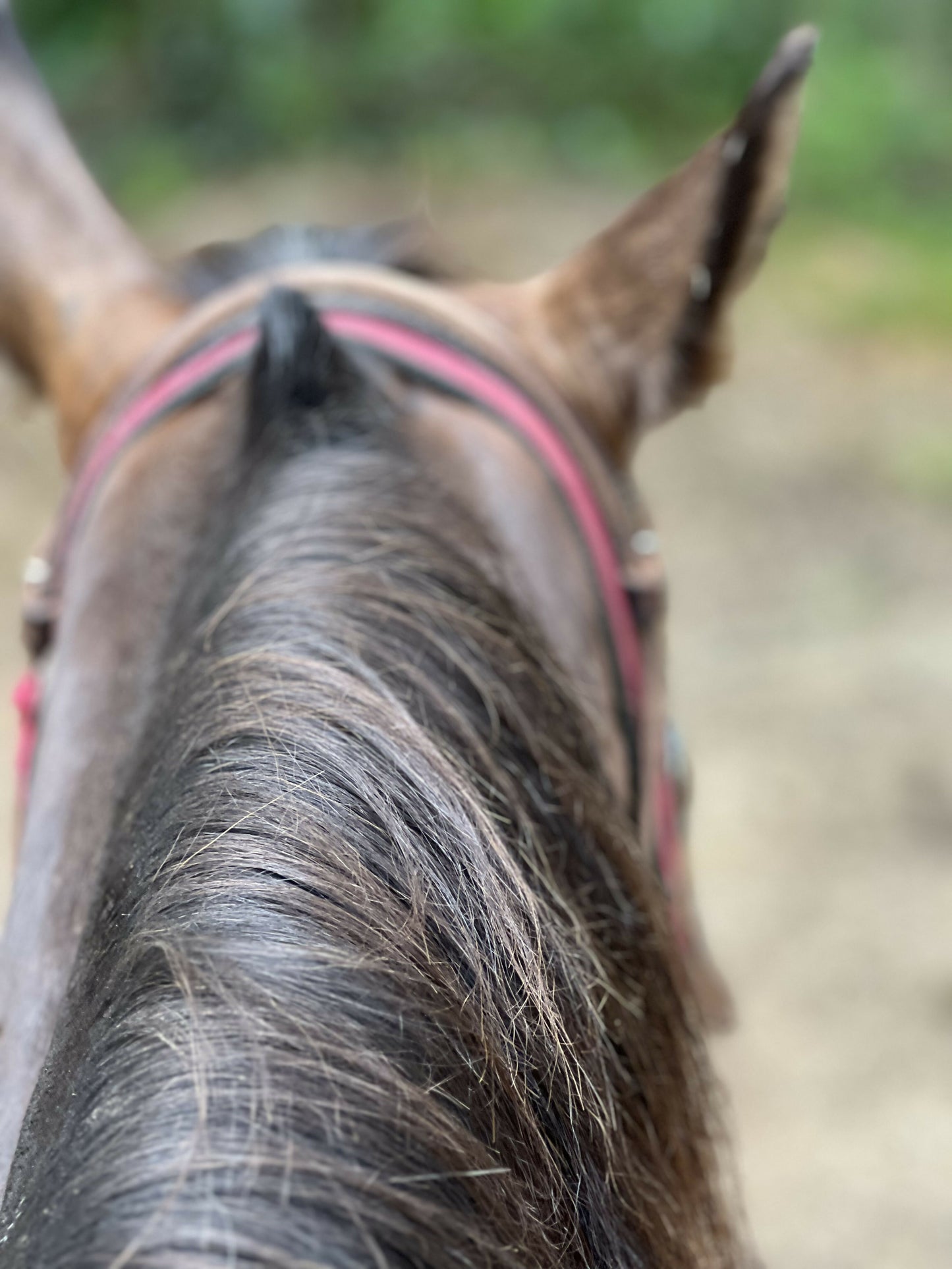 Haymakers & Heartbreakers