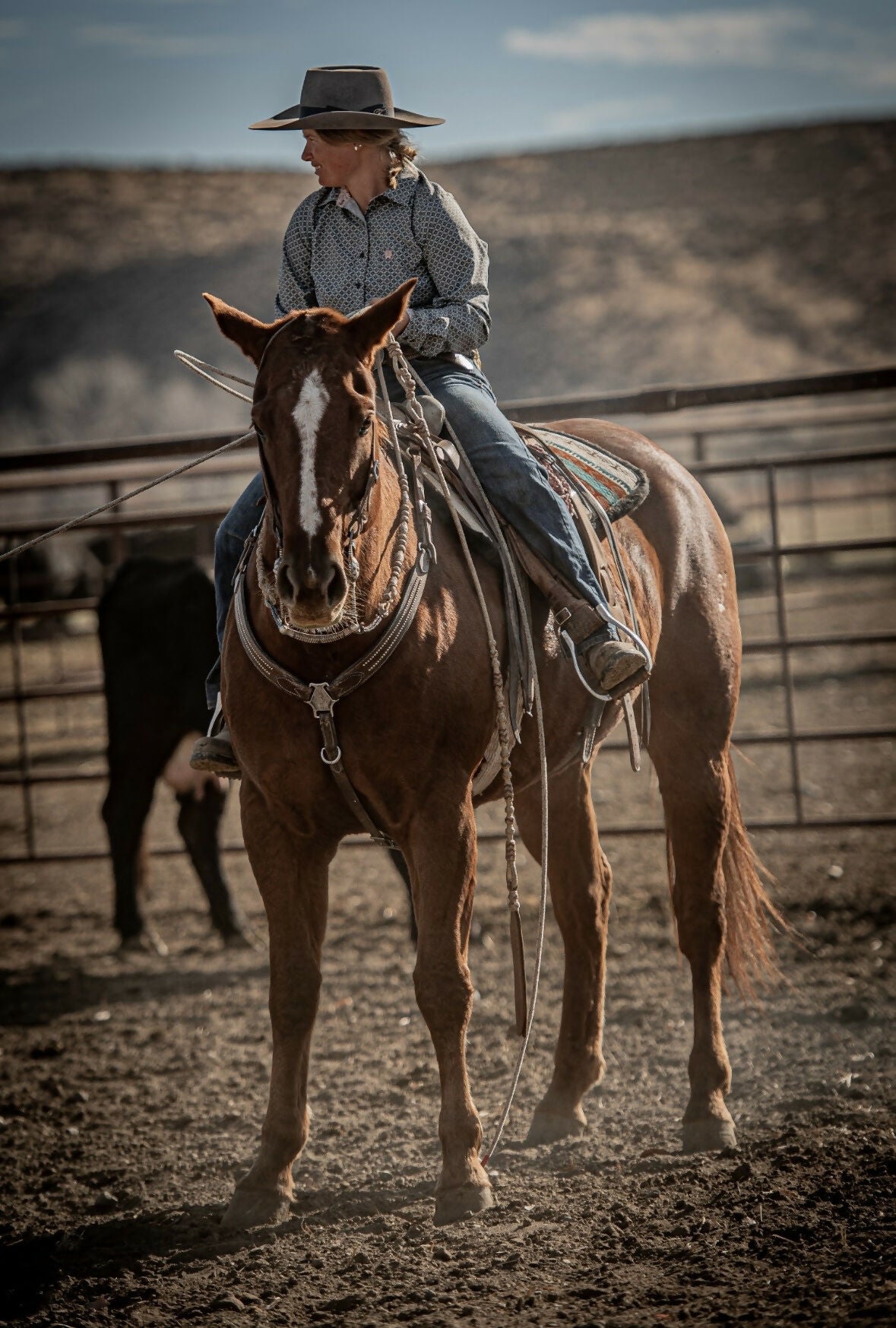 Lady and the Saddletramp