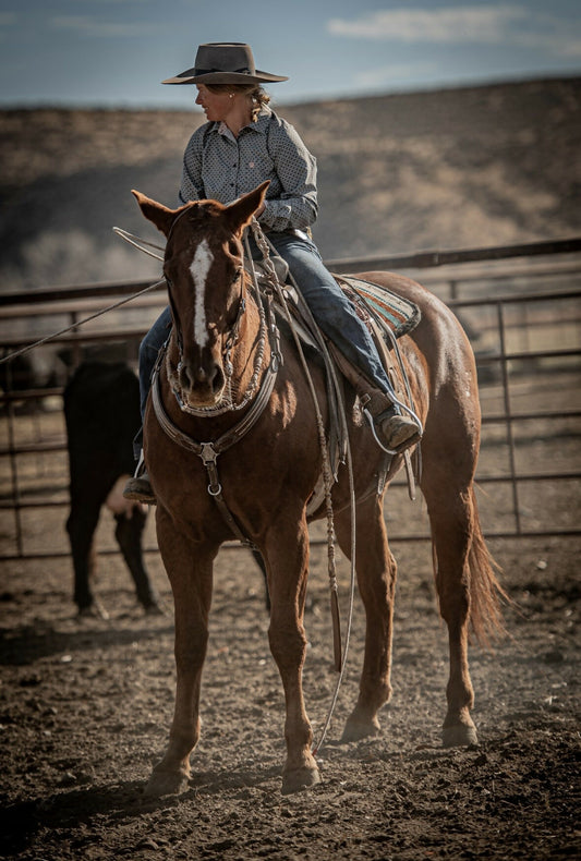 Lady and the Saddletramp