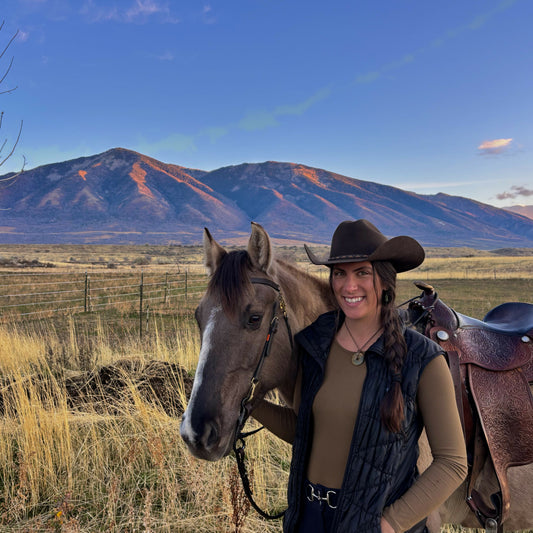 Save a Horse Ride a Skier