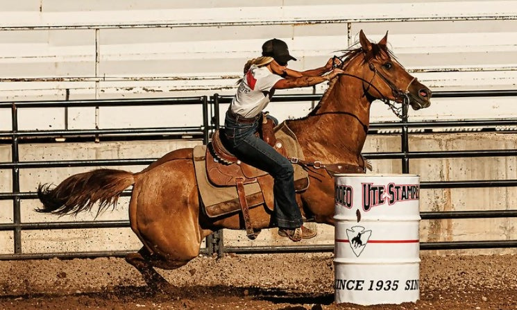 Brew Bori and The Sundance Kid