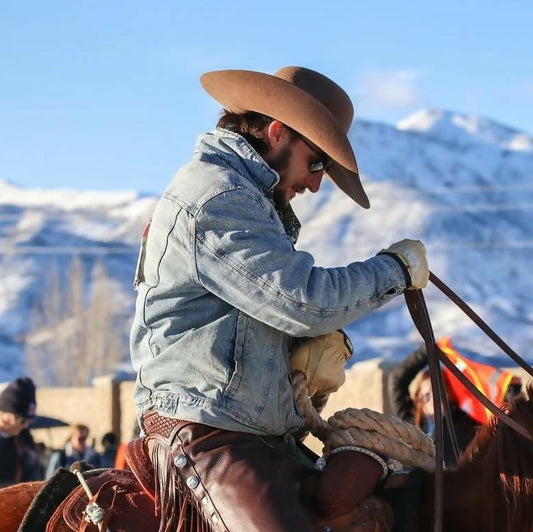 Hattie and the fatties