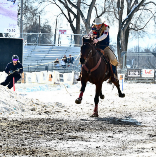 Colorado Cowboys