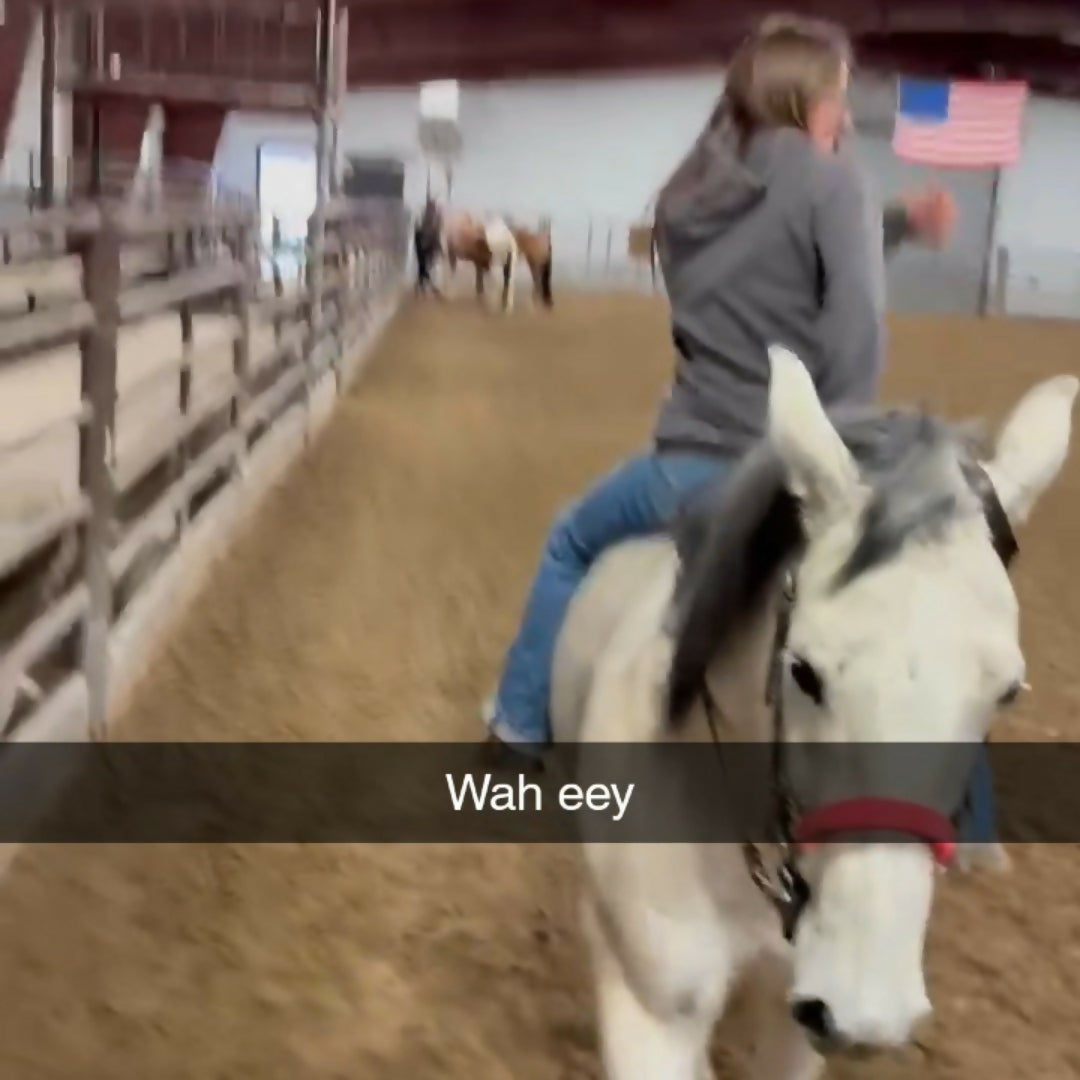 The Yellow Snow Cones