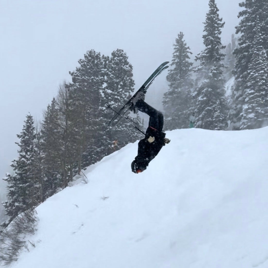 K/N equine dental shred units