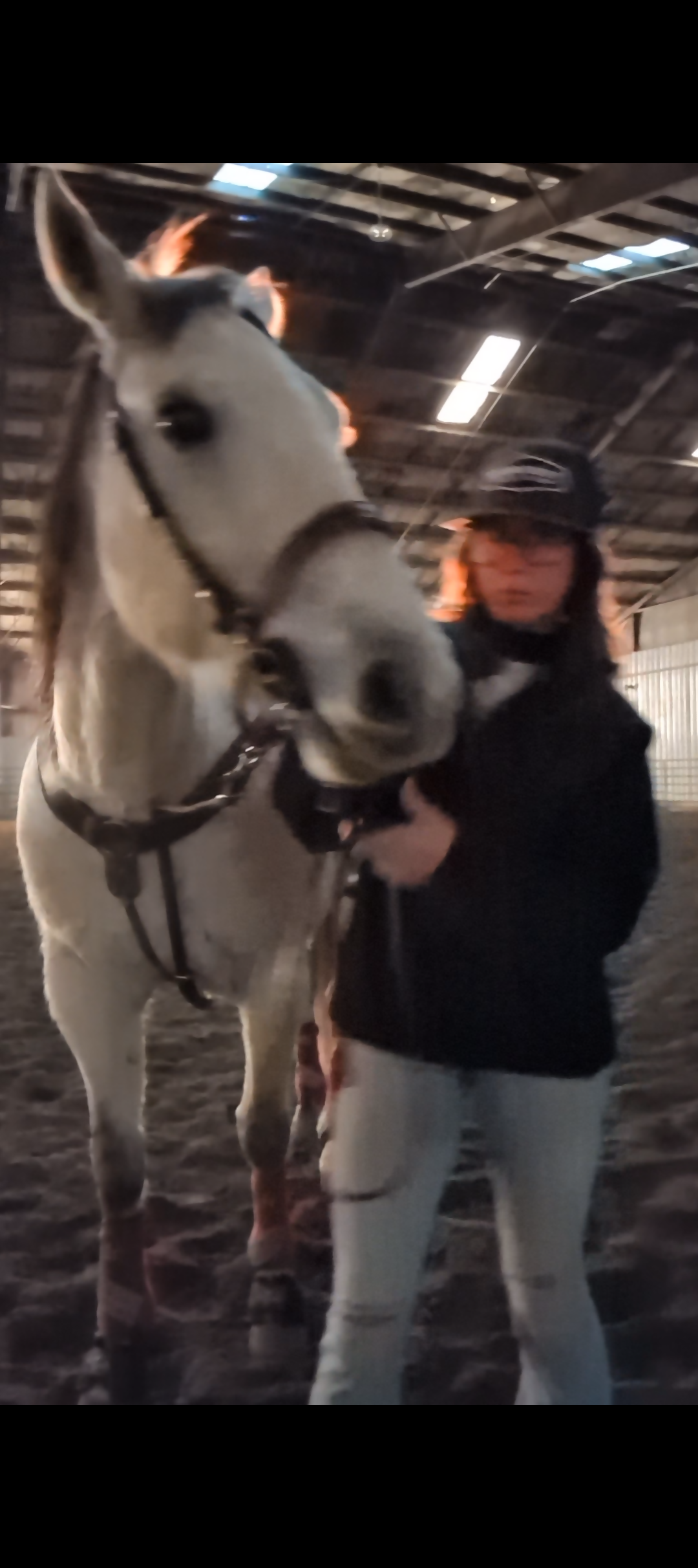 The Yellow Snow Cones