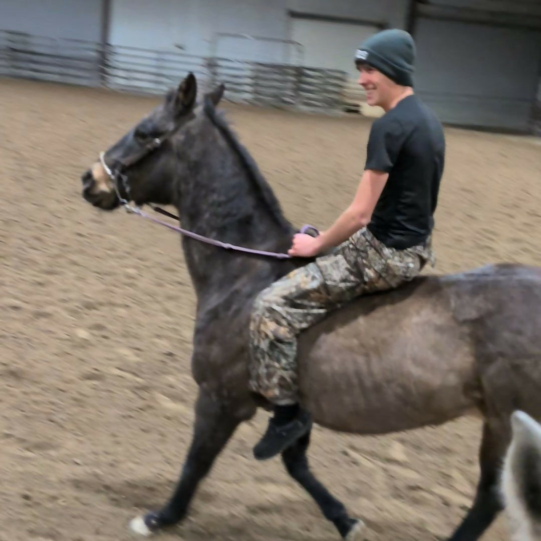 The Yellow Snow Cones