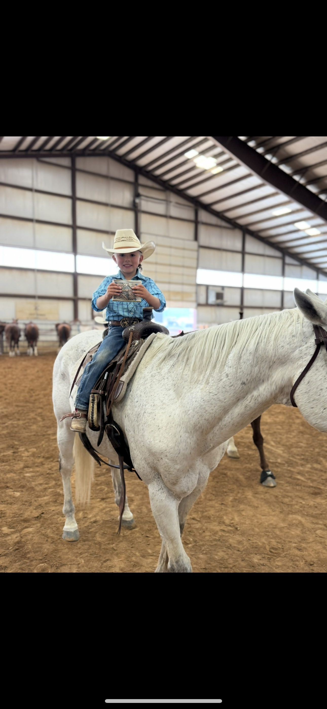 Badgers blizzard buckaroos