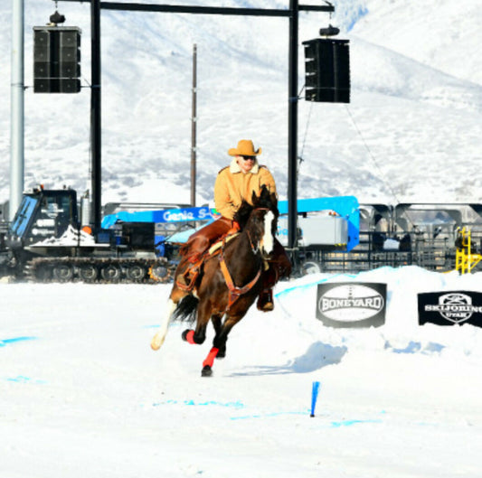 Hypertension & Horsepower